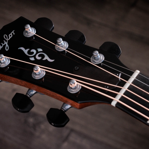 2024年の新アコースティックギター | Taylor Guitars